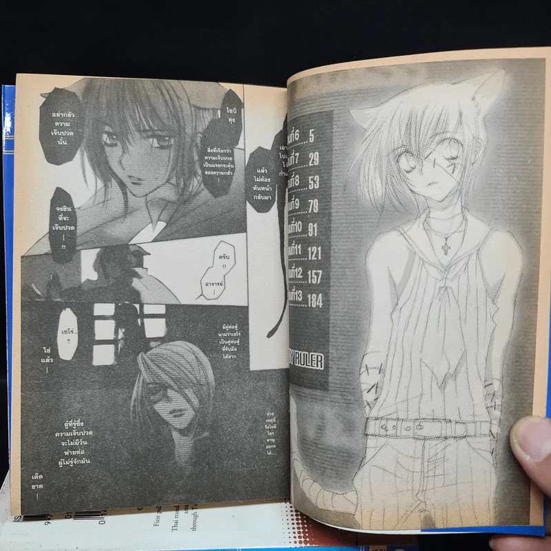 Loveless 3 เล่มจบ - Yun Kouga รูปที่ 6