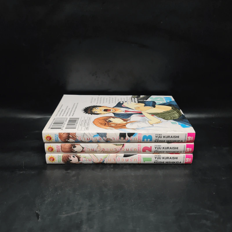 ข้ามเวลามาป่วนรัก เล่ม 1-3 รูปที่ 2