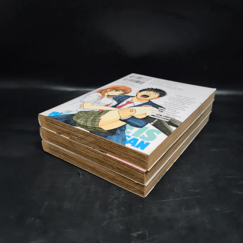 ข้ามเวลามาป่วนรัก เล่ม 1-3 รูปที่ 3