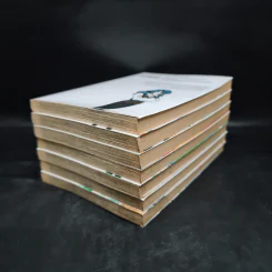 มืออสูรล่าปิศาจ NEO เล่ม 1-7 รูปที่ 3