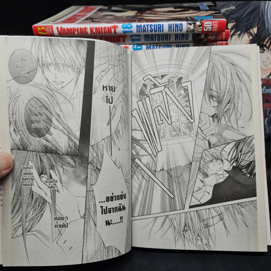 Vampire Knight 19 เล่มจบ + Fanbook รูปที่ 8