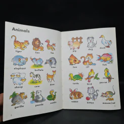 รวมคำศัพท์ภาษาอังกฤษสำหรับเด็กพร้อมภาพประกอบ First 400 Words รูปที่ 5