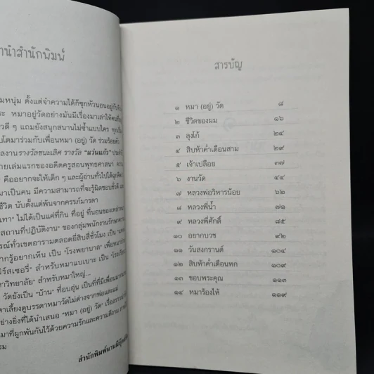 หมา (อยู่) วัด - โสมประภัสร์ ขันธ์สุวรรณ รูปที่ 6