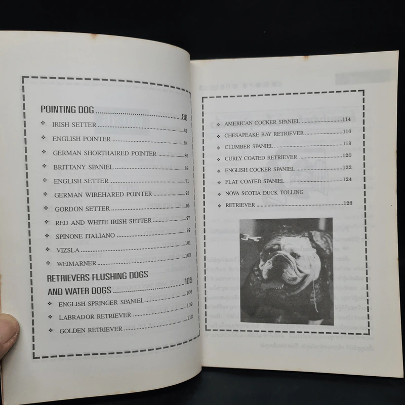 โลกสุนัข Dog's World Series 2 รวมแคทตาล็อคสุนัขหลากพันธุ์ในโลกมากที่สุด รูปที่ 6