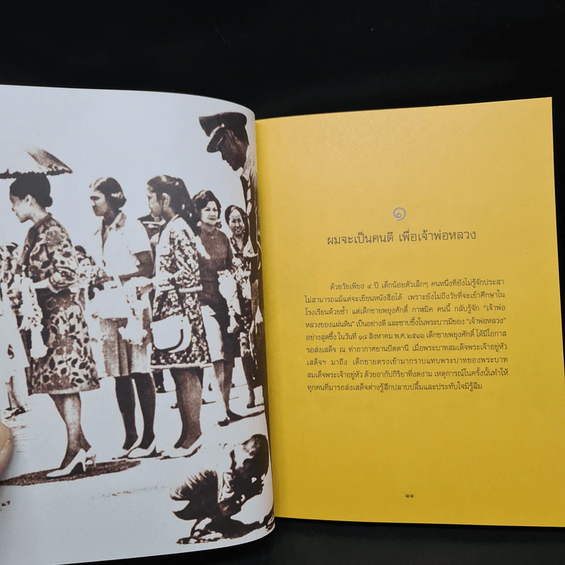 ในหลวงของฉัน หนังสือประมวลภาพแห่งความทรงจำของผสกนิกรชาวไทย รูปที่ 6