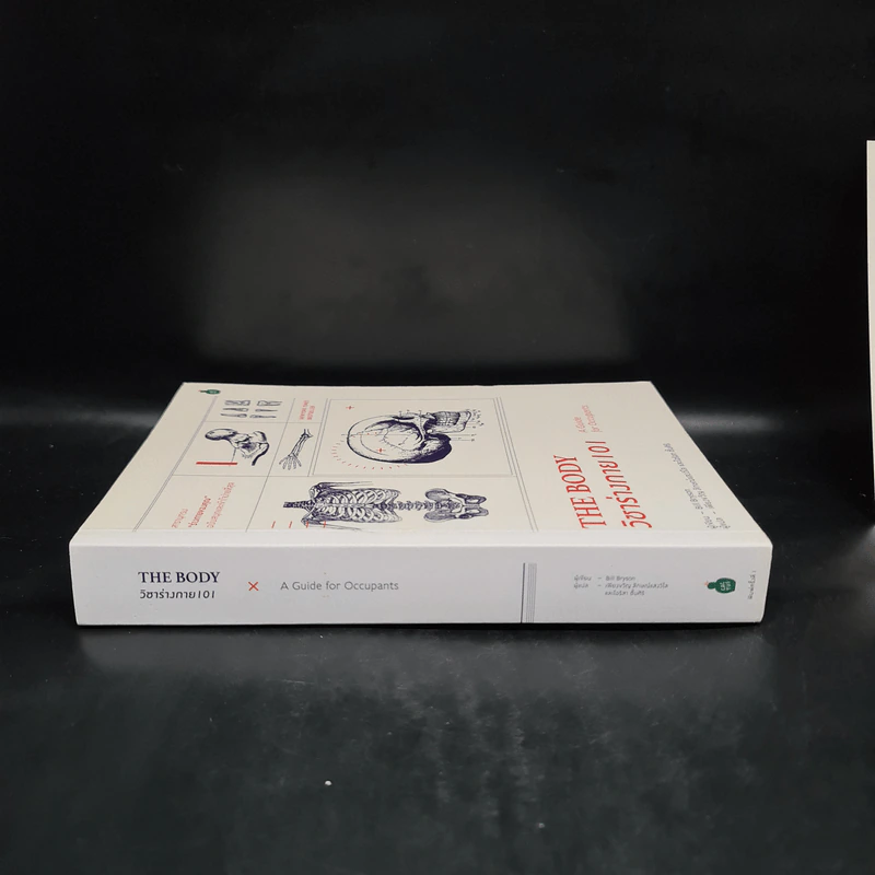 The Body วิชาร่างกาย 101 - Bill Bryson รูปที่ 3