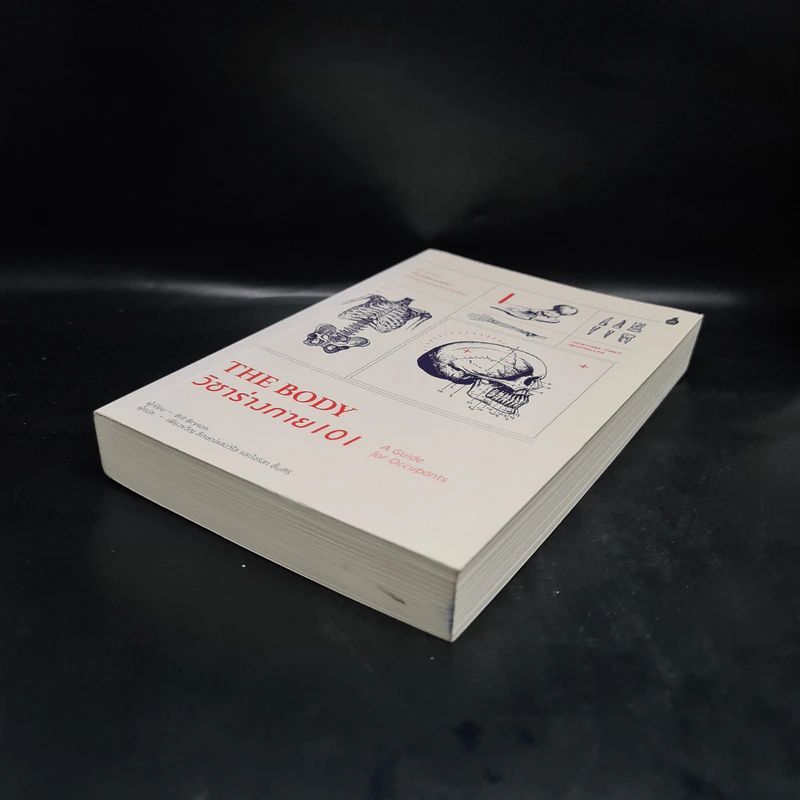 The Body วิชาร่างกาย 101 - Bill Bryson รูปที่ 4