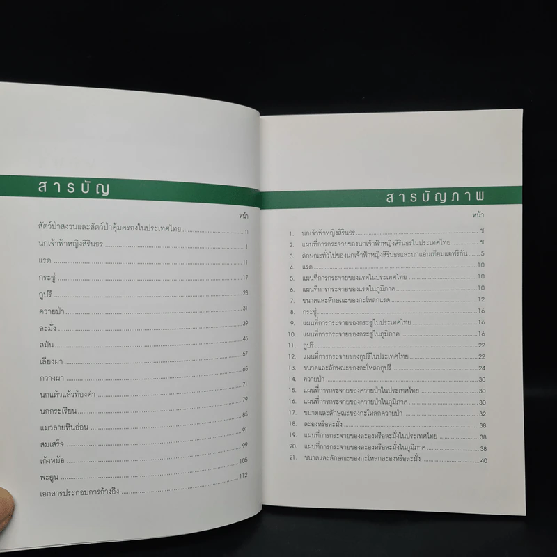 สัตว์ป่าสงวนในประเทศไทย รูปที่ 6