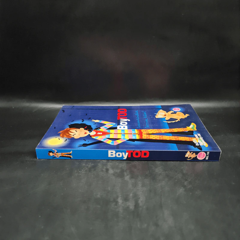 BoyTod - ว.แหวน รูปที่ 3