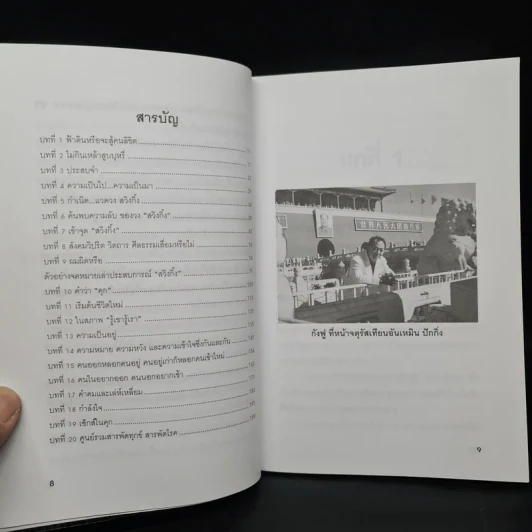 จริงหรือที่เค้าว่าผมเป็นเจ้าพ่อสวิงกิ้ง! กังฟู รูปที่ 6