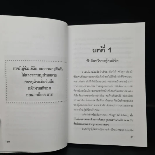 จริงหรือที่เค้าว่าผมเป็นเจ้าพ่อสวิงกิ้ง! กังฟู รูปที่ 7