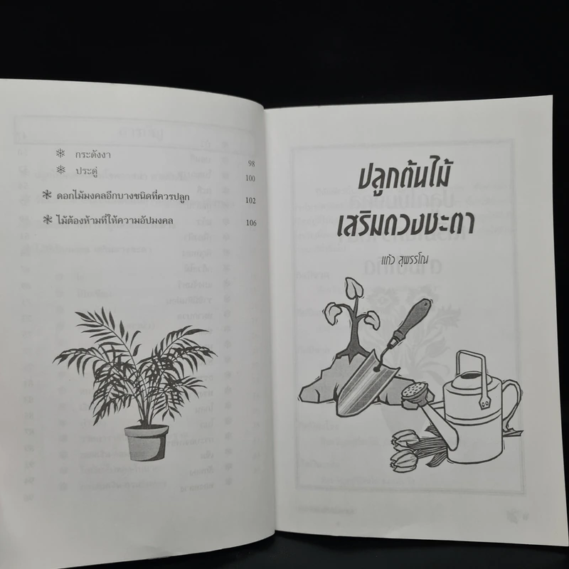 ปลูกต้นไม้เสริมดวงชะตา - แก้ว สุพรรโณ รูปที่ 7