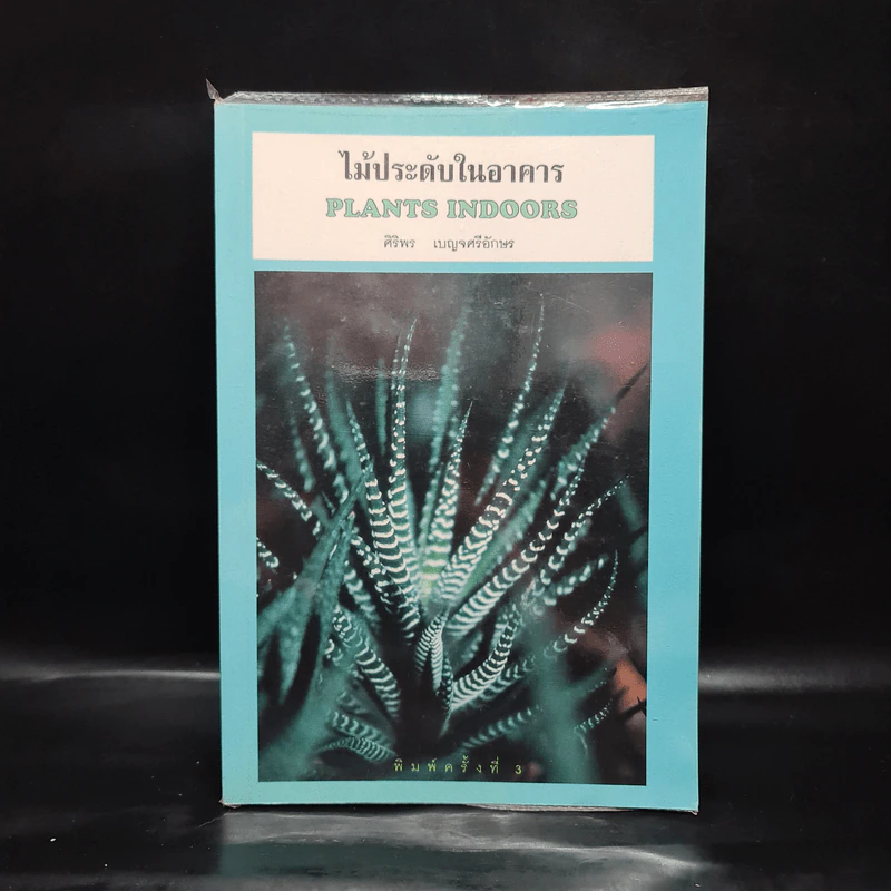 ไม้ประดับในอาคาร Plants Indoors - ศิริพร เบญจศรีอักษร รูปที่ 1