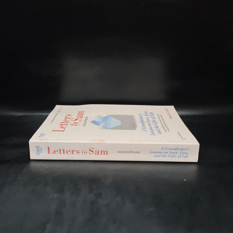 Letters to Sam: จดหมายถึงแซม - Daniel Gottlieb รูปที่ 3