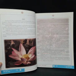 สารพันงานเครื่องสด ชุด บัวไทยกับใบตอบ เล่ม 1 - อ.ขวัญใจ พฤกษประภัสสร รูปที่ 6