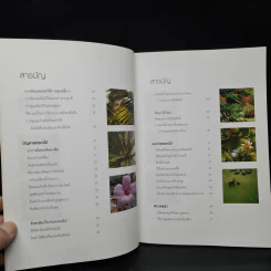 100 ปัญหาปรึกษาหารือ สารพันปัญหาสวน รูปที่ 7