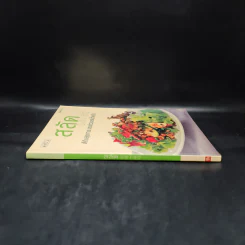 สลัด Salad ดีกับสุขภาพ แถมช่วยลดน้ำหนัก รูปที่ 3
