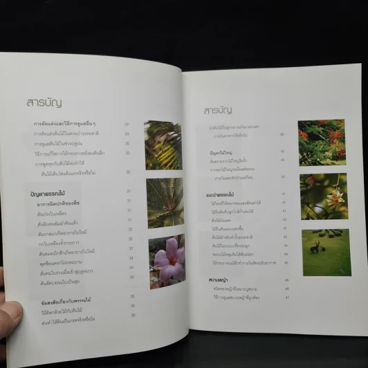 100 ปัญหาปรึกษาหารือ สารพันปัญหาสวน รูปที่ 7