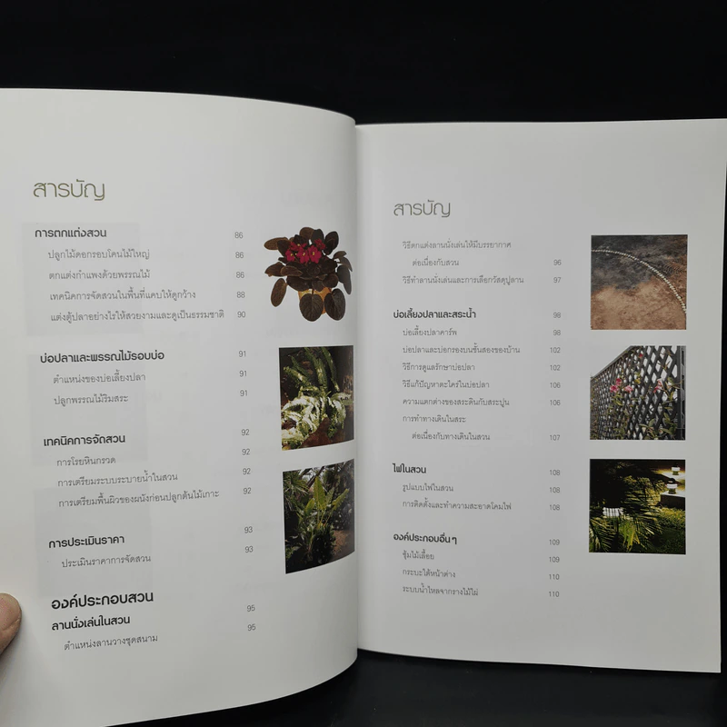 100 ปัญหาปรึกษาหารือ สารพันปัญหาสวน รูปที่ 9