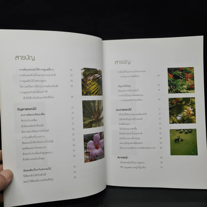 100 ปัญหาปรึกษาหารือ สารพันปัญหาสวน รูปที่ 7