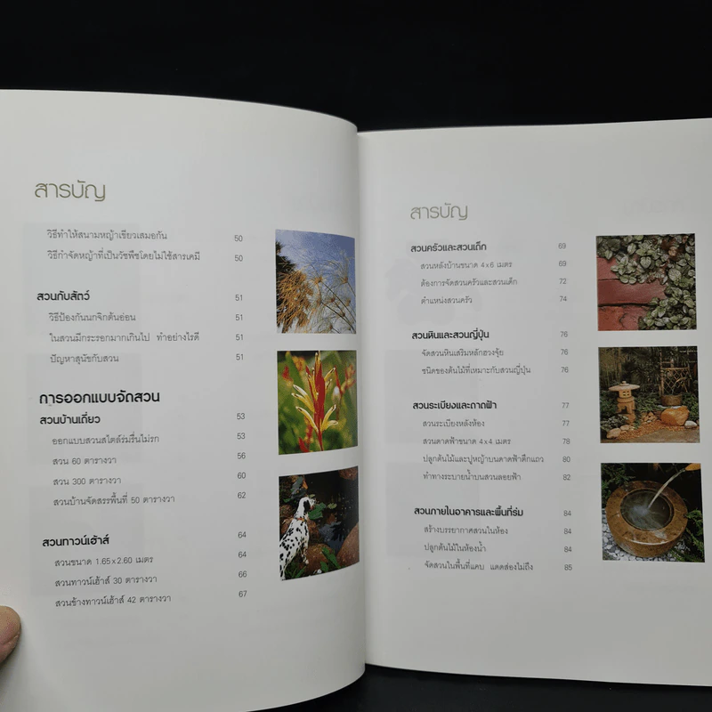 100 ปัญหาปรึกษาหารือ สารพันปัญหาสวน รูปที่ 8