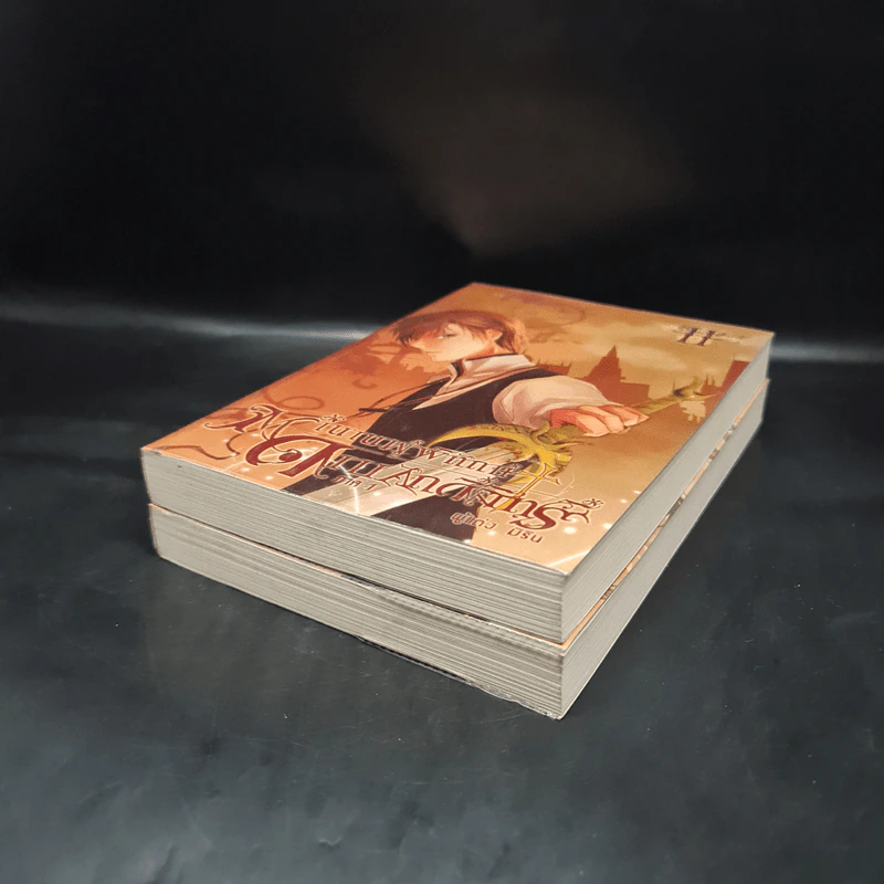 ตำนานผู้พิทักษ์ ดาบศักดิ์สิทธิ์ ภาค 1 เล่ม 1-2 - มิริน รูปที่ 4