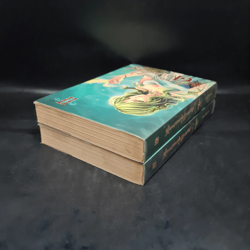 ตำนานผู้พิทักษ์ ดาบศักดิ์สิทธิ์ ภาค 2 เล่ม 1-2 - มิริน รูปที่ 5