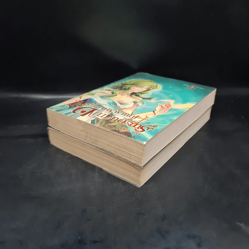 ตำนานผู้พิทักษ์ ดาบศักดิ์สิทธิ์ ภาค 2 เล่ม 1-2 - มิริน รูปที่ 4