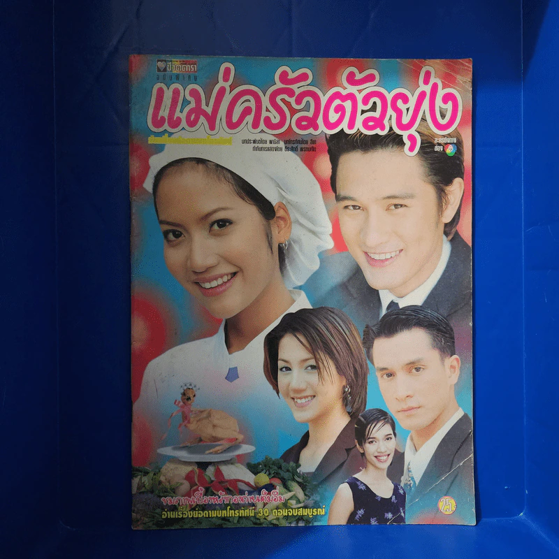 แม่ครัวตัวยุ่ง เรื่องย่อละคร ชีวิตดารา รูปที่ 1