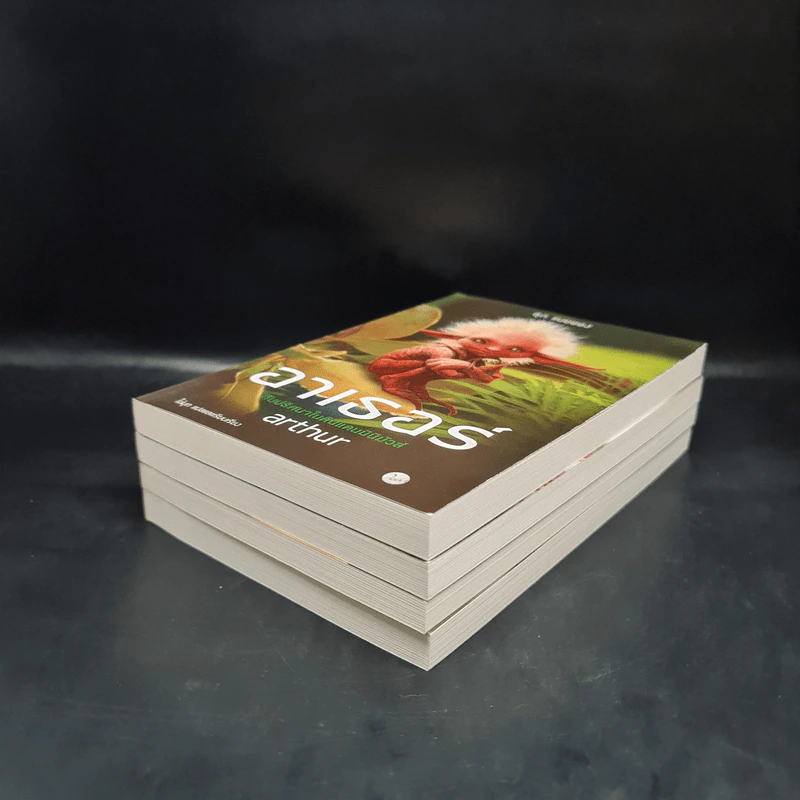 อาเธอร์ Arthur Boxset 4 เล่มจบ - ลุก แบซซอง รูปที่ 6