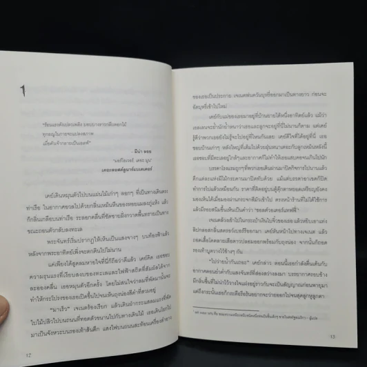 ไทท์ ศึกภูตบูชายัญ - Holly Black (ฮอลลี แบล็ก) รูปที่ 6