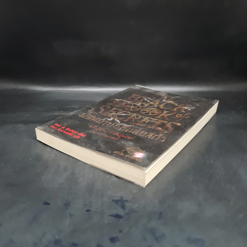 The Black Book of Secrets ปริศนาบันทึกลับสีดำ - เอฟ.อี.ฮิกกินส์ รูปที่ 4