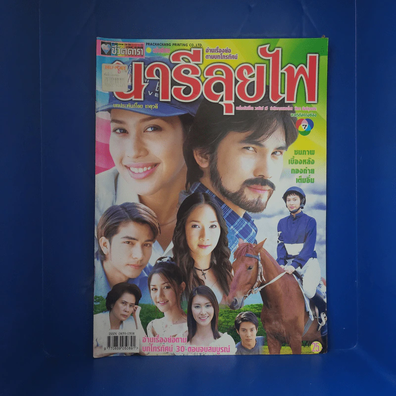 นารีลุยไฟ เรื่องย่อละคร ชีวิตดารา รูปที่ 1