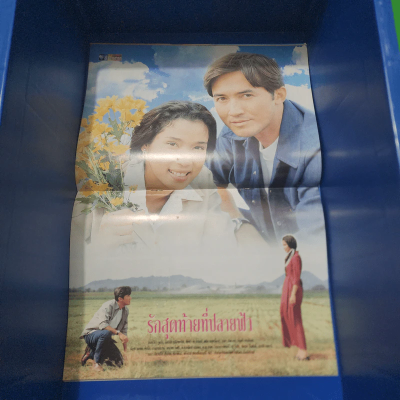 รักสุดท้ายที่ปลายฟ้า เรื่องย่อละคร ชีวิตดารา รูปที่ 2