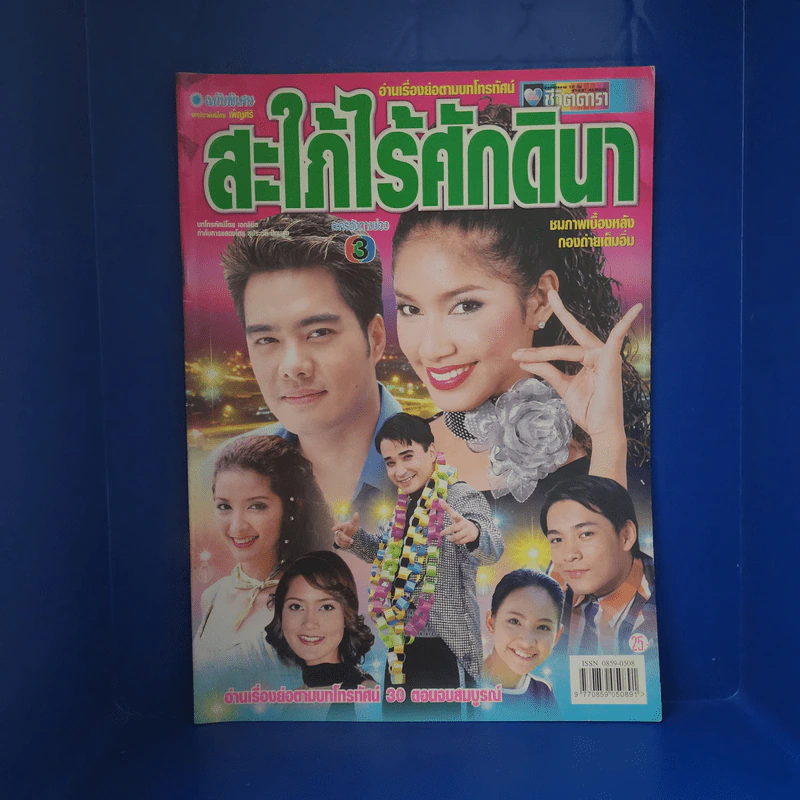 สะใภ้ไร้ศักดินา เรื่องย่อละคร ชีวิตดารา รูปที่ 1