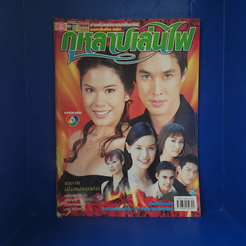 กุหลาบเล่นไฟ เรื่องย่อละคร ชีวิตดารา รูปที่ 1