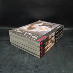 จดหมายเหตุ แวนเฮลซิง 4 เล่ม รูปที่ 4