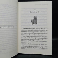 Lincorn Diary ภาคพิเศษของเซวีน่ามหานครแห่งมนตรา 2 เล่มจบ - กัลฐิดา รูปที่ 7