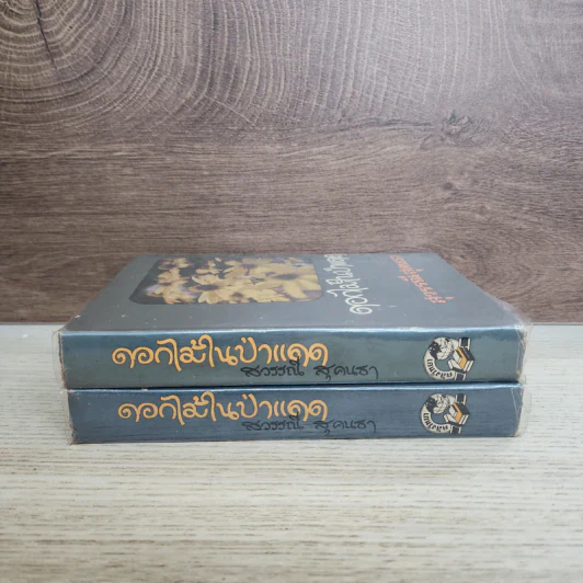ดอกไม้ในป่าแดด 2 เล่มจบ - สุวรรณี สุคนธา รูปที่ 2