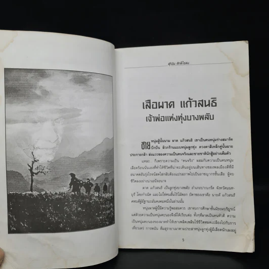 เจ้าพ่อทุ่งบางพลับ เสือผาด แก้วสนธิ เสือผาด ทับสายทอง ขุนโจร 9 จังหวัด - สุริยัน ศักดิ์ไธสง รูปที่ 7