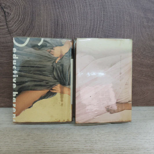 สะใภ้จ้าว 2 เล่มจบ - รจนา รูปที่ 8