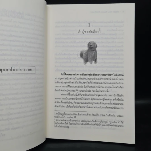 Lincorn Diary ภาคพิเศษของเซวีน่ามหานครแห่งมนตรา 2 เล่มจบ - กัลฐิดา รูปที่ 7