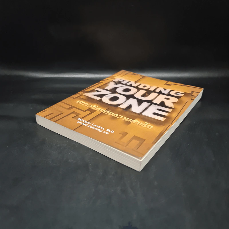 Finding Your Zone สภาวจิตแห่งความสำเร็จ - Michael Lardon,M.D. รูปที่ 4