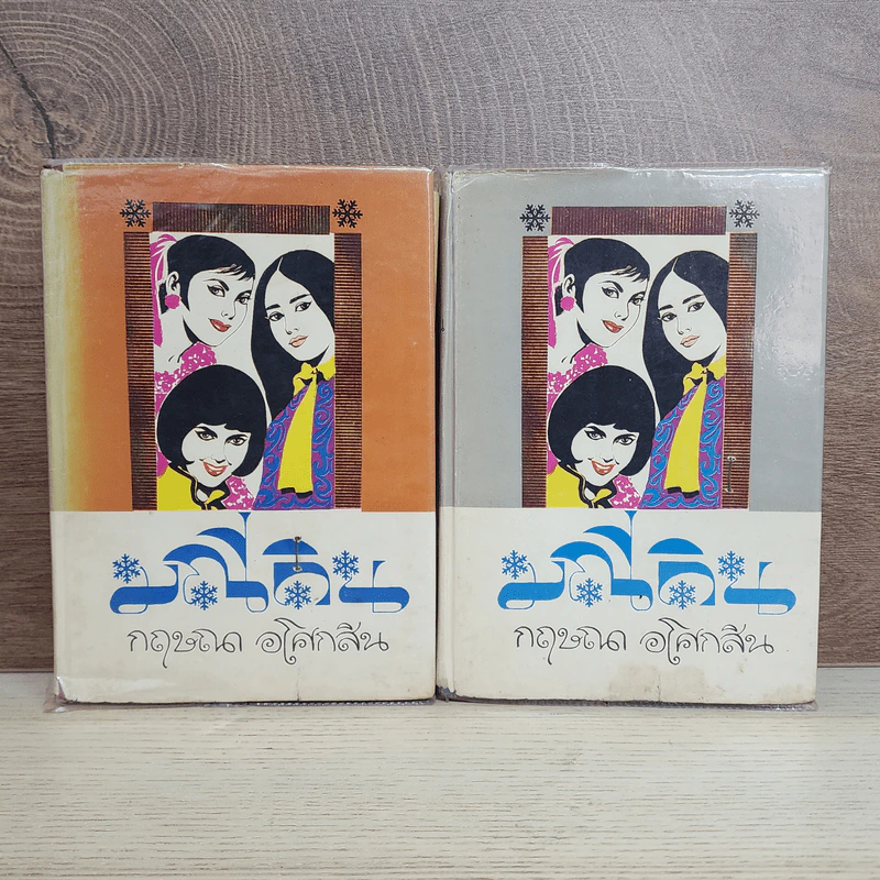 มณีดิน 2 เล่มจบ - กฤษณา อโศกสิน รูปที่ 1