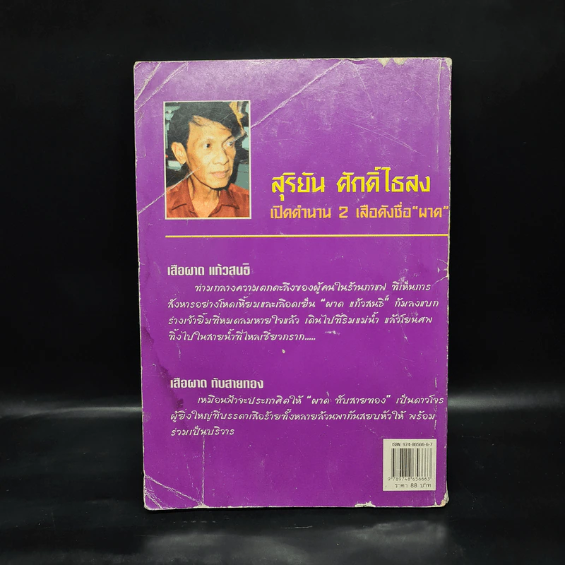 เจ้าพ่อทุ่งบางพลับ เสือผาด แก้วสนธิ เสือผาด ทับสายทอง ขุนโจร 9 จังหวัด - สุริยัน ศักดิ์ไธสง รูปที่ 2
