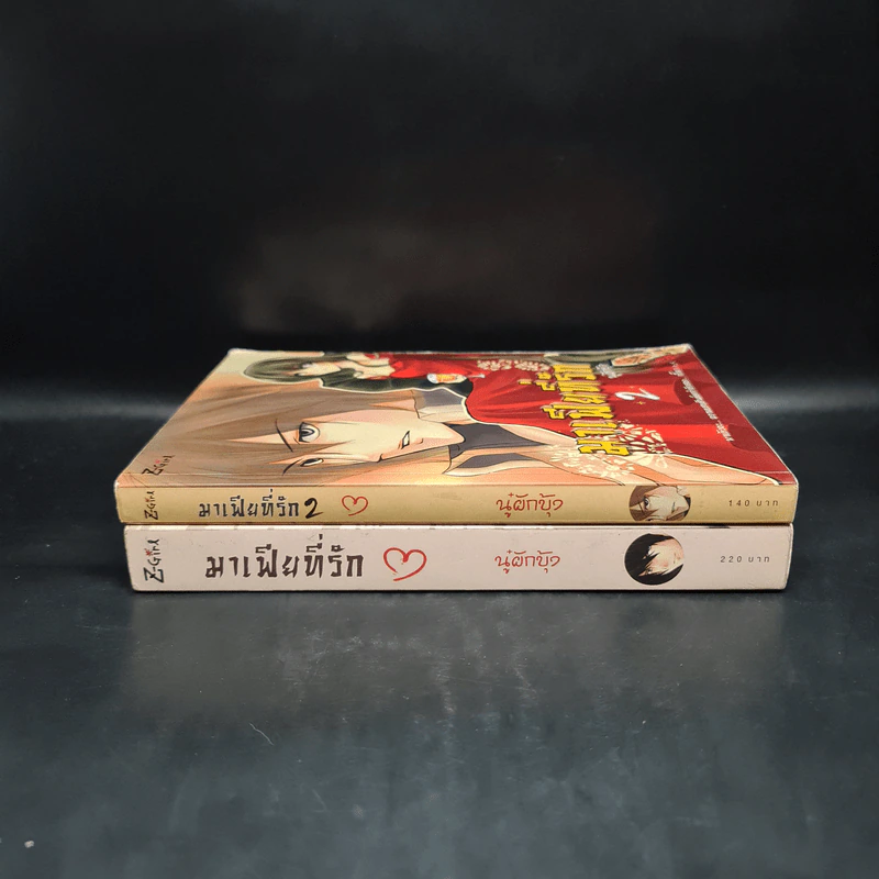 มาเฟียที่รัก 2 เล่มจบ - นู๋ผักบุ้ง รูปที่ 3