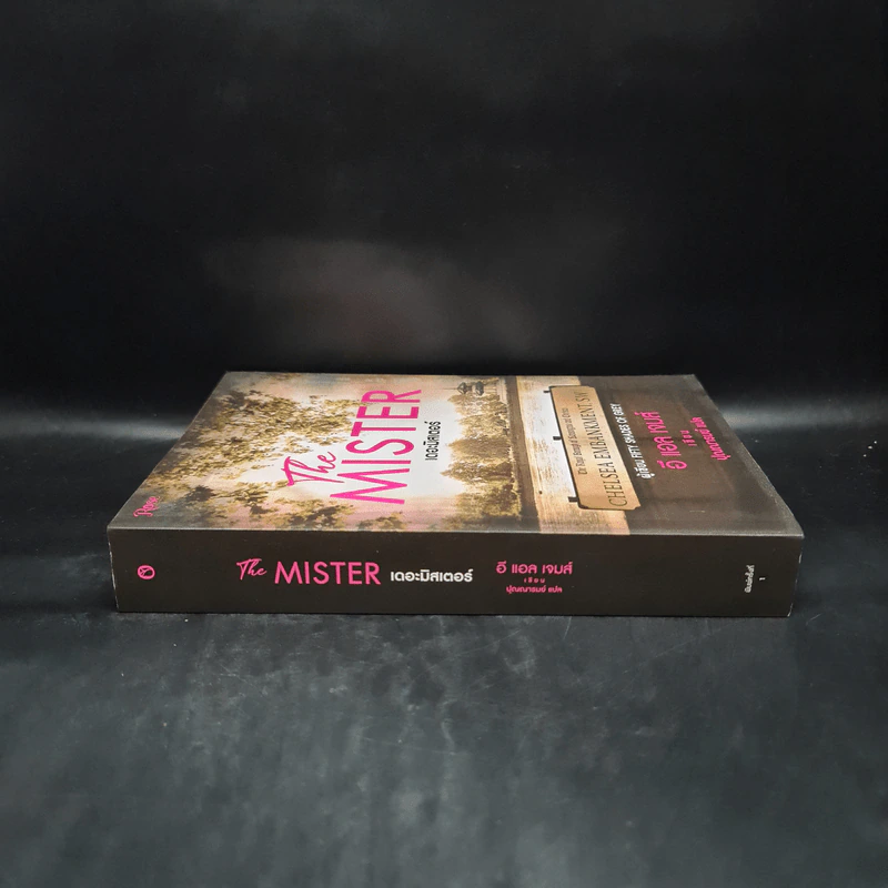 The Mister เดอะมิสเตอร์ - อี แอล เจมส์ รูปที่ 3