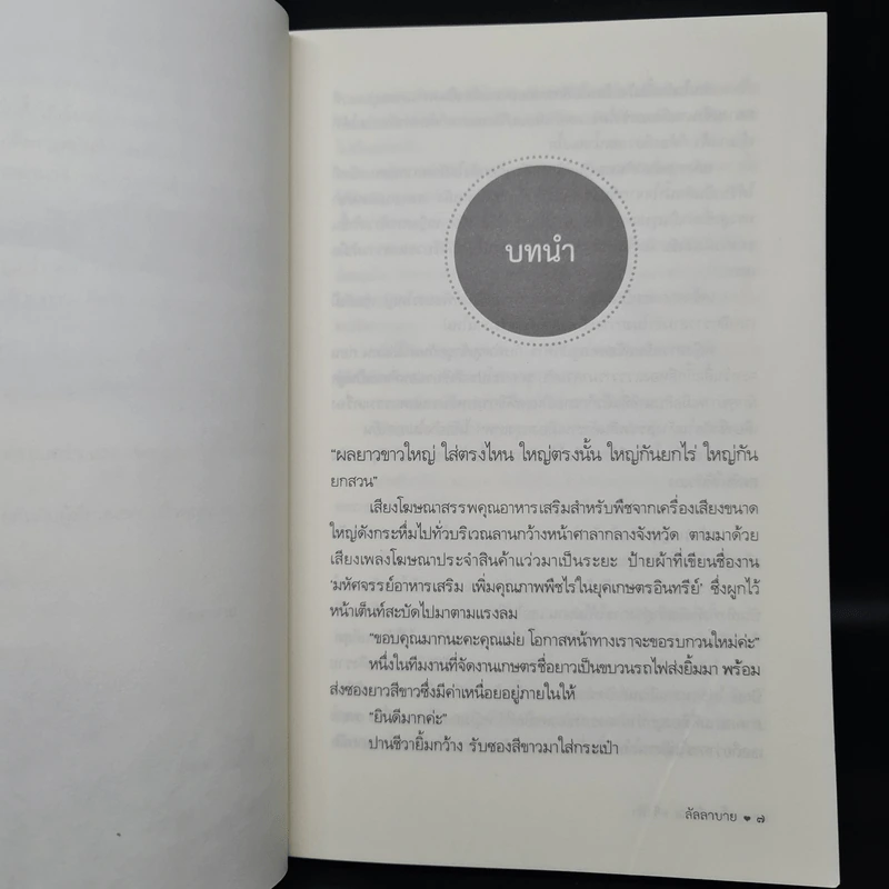 ครั้งหนึ่ง ณ ครึ่งฟ้า - ลัลลาบาย รูปที่ 6