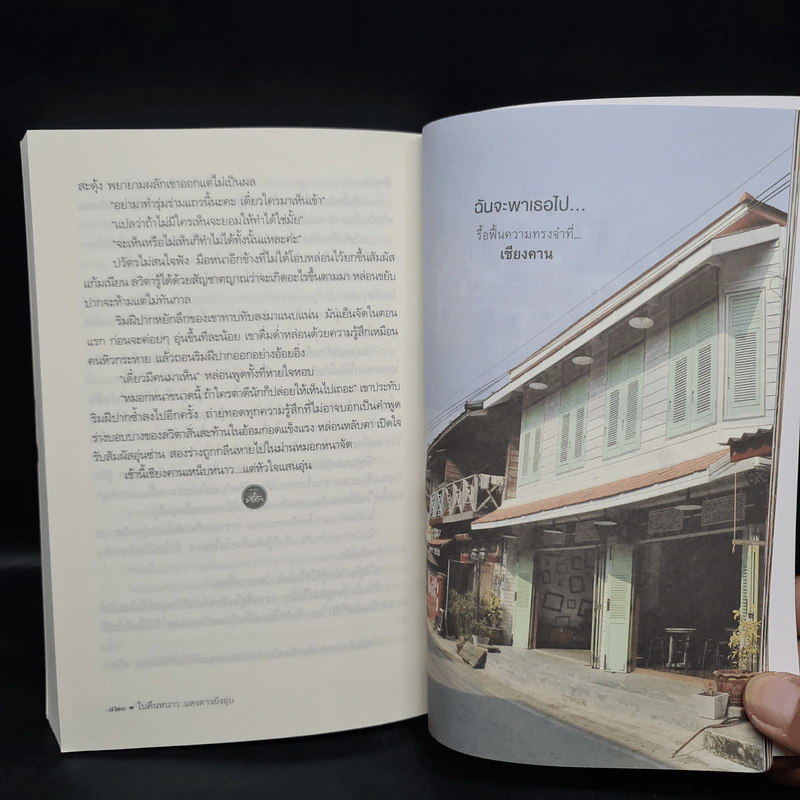 ในคืนหนาว แสงดาวยังอุ่น - ศตรัศมิ์ รูปที่ 8