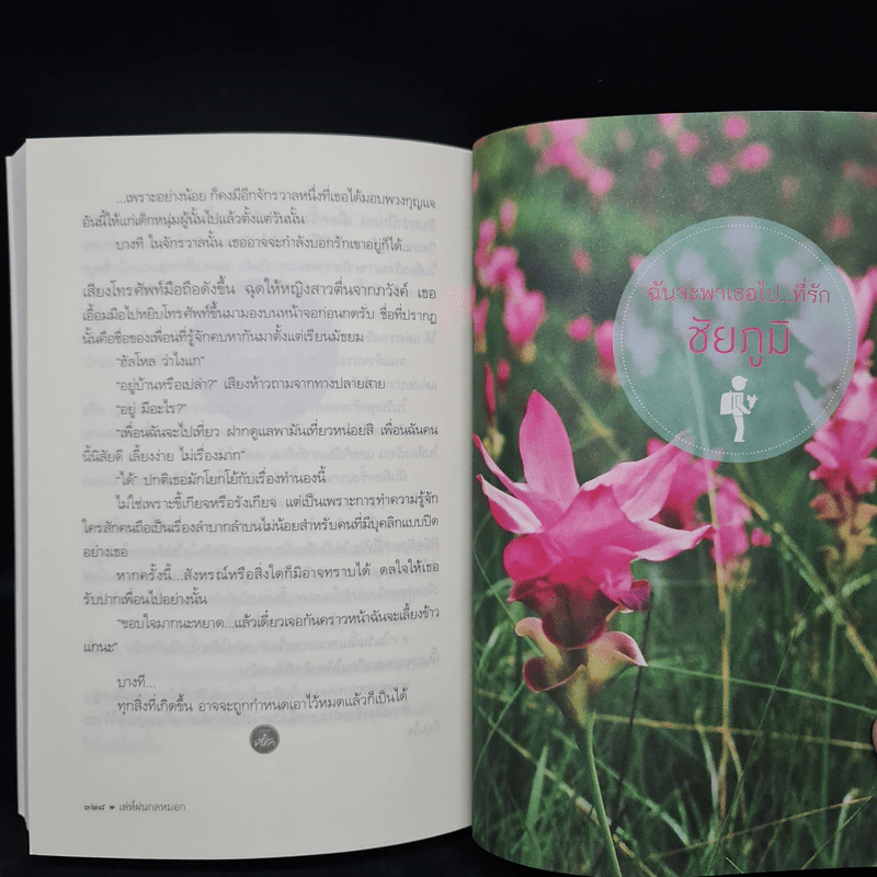 เล่ห์ฝนกลหมอก - กรมาศ รูปที่ 7